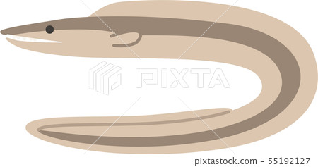 哈莫 哈莫 55192127