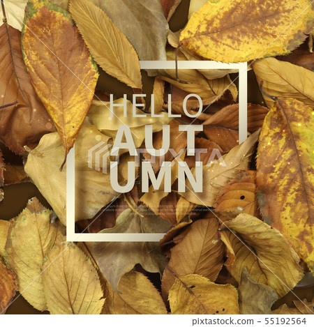 Illustration, autumn, background Illustration, autumn, background 55192564