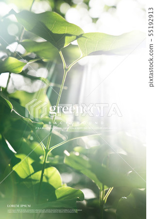 Illustration, background, green Illustration, background, green 55192913