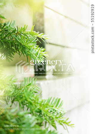 例證，背景，綠色 55192919