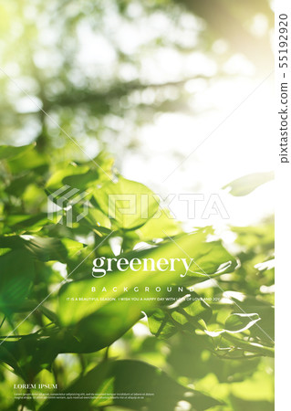例證,背景,綠色 例證,背景,綠色 55192920