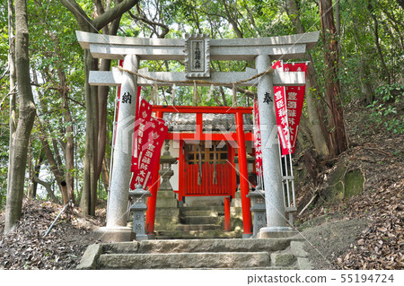 [Hoshida Tayominomiya Toyotomi Inari Daimyojin] Osaka Prefecture Kouno City Hoshida 9 55194724