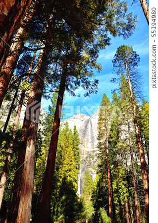 Yosemite Falls, the world's fifth tallest in the world 55194980