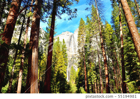 優勝美地瀑布,世界第五高的世界第一 優勝美地瀑布,世界第五高的世界第一 55194981