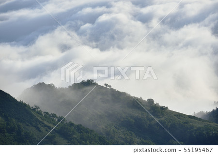Mountain range wrapped in sea of clouds (Hokkaido) 55195467