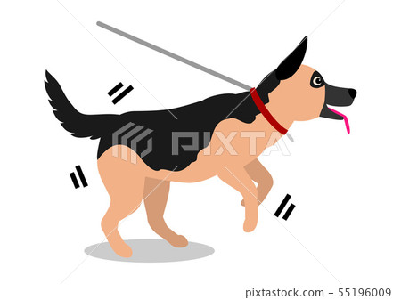dog pulling on lead