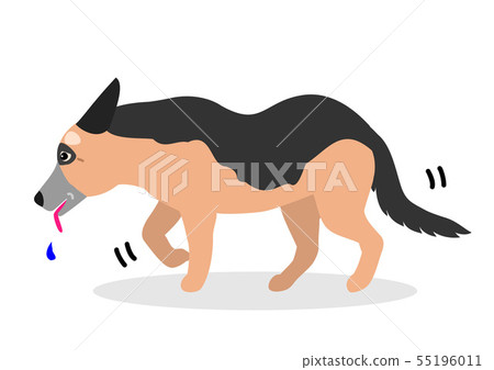 Walking old dog 55196011