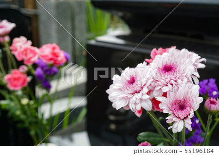 Buddha Flower Tomb Grave Tomb Ancestor cemetery Business Court Obon Ogishi Late people Inheritance Heritage Problem Will 55196184