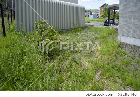 Garden before landscaping 55196446