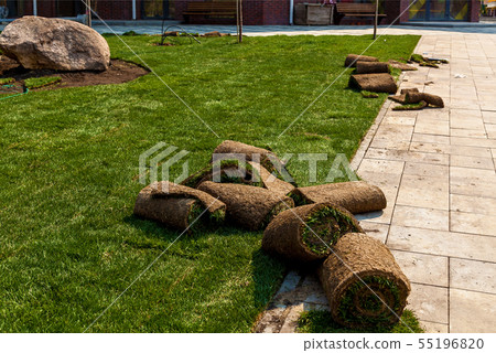 laying of grass in rolls 55196820