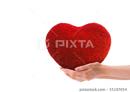 Woman's hand holding red heart shape. 55197054