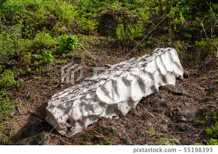 A thick layer of snow melting in high mountains. A thick layer of snow melting in high mountains. 55198393