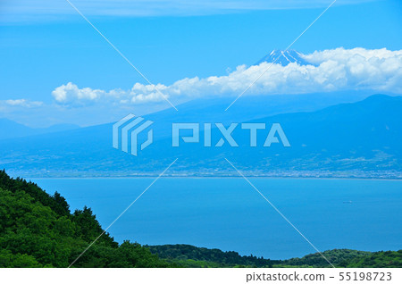 伊豆達磨山高原 55198723