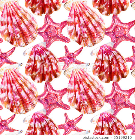 Seamless pattern of scallop shells. Seamless pattern of scallop shells. 55199210