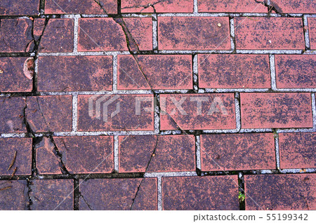 Cracked tile Cracked tile 55199342