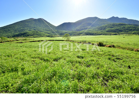 Kyufu Gatsuru Wetland Boku Gatsuru Hijiritake 1643m Ofunayama 1786m Aso Kuju National Park Hokkein Onsen Kyufu Gatsuru Wetland Boku Gatsuru Hijiritake 1643m Ofunayama 1786m Aso Kuju National Park Hokkein Onsen 55199756