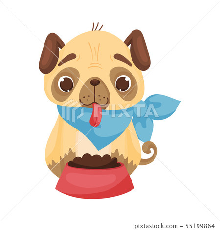 pug food bowl