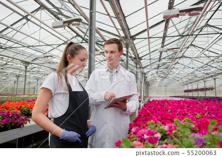 A young man and woman in white coats and black aprons, scientists, biologists or agronomists examine 55200063