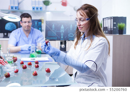 Female scientis with protection gear working in a microbiology research lab 55200760