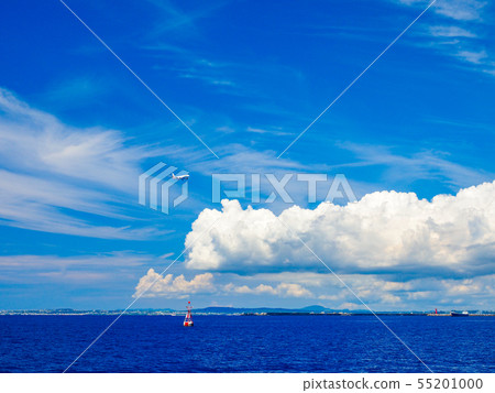 飛機和大海 飛機和大海 55201000