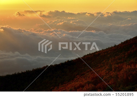 Mt. Fuji Rokugoi Yoshidaguchi山徑從山徑到雲海和早晨的樹葉 Mt. Fuji Rokugoi Yoshidaguchi山徑從山徑到雲海和早晨的樹葉 55201895