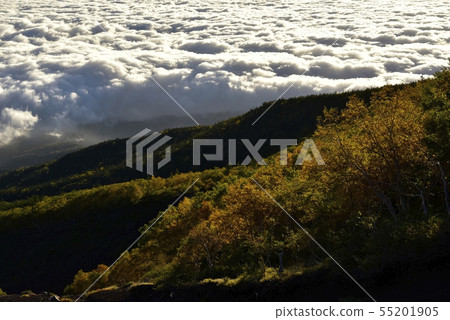 Mt. Fuji Rokugoi Yoshidaguchi mountain trail from the mountain trail to the sea of clouds and morning foliage Mt. Fuji Rokugoi Yoshidaguchi mountain trail from the mountain trail to the sea of clouds and morning foliage 55201905