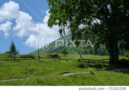 Carpathian mountain summer country landscape, Carpathian mountain summer country landscape, 55202208