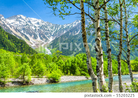 << Nagano Prefecture> Fresh green Kamikochi, Takezawa and Shirakaba 55203225