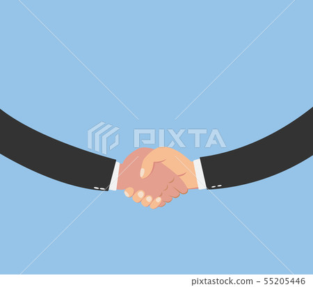 Closeup of businesspeople shaking hands 55205446