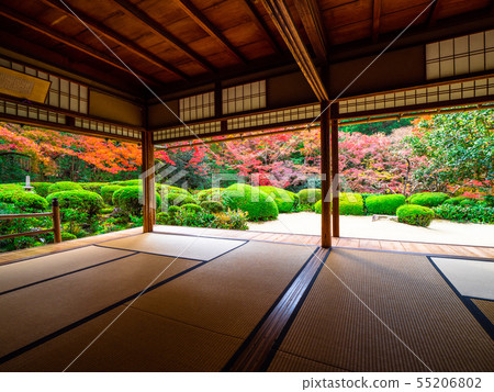 Shisen-do秋葉 55206802