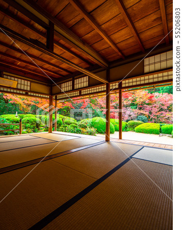 Shisen-do秋葉 55206803