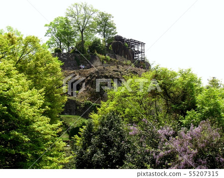 Saplings Castle Ruins Saplings Castle Ruins 55207315