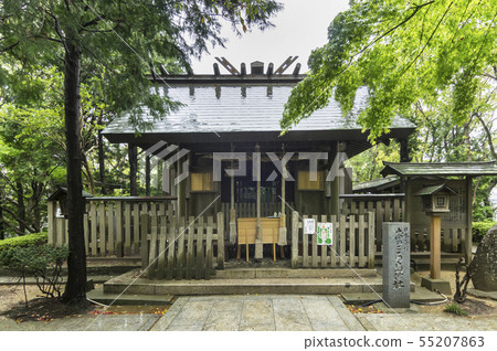 Shrine Shrine Shrine Shrine Shrine Shrine 55207863