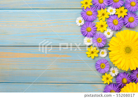 Yellow gerbera, daisy and purple garden flowers on 55208017