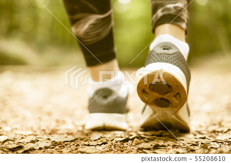 Young fitness female ready for run on forest trail 55208610