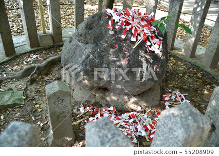 兵庫縣姬路市射兵神社的大西 兵庫縣姬路市射兵神社的大西 55208909