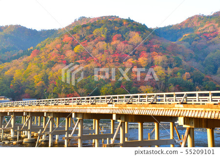 秋天京都嵐山 秋天京都嵐山 55209101