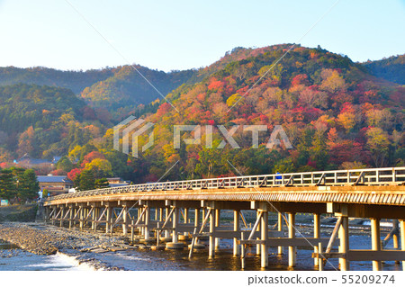 Autumn Kyoto Arashiyama 55209274