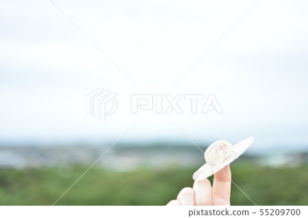 Barley straw hat | Summer Barley straw hat | Summer 55209700