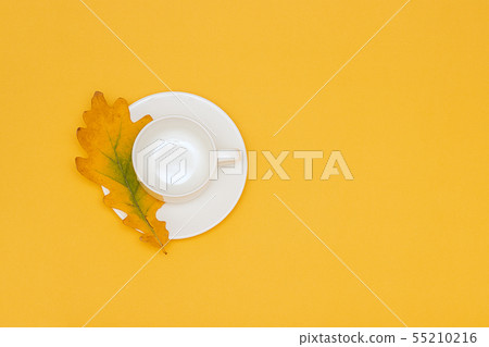 White empty cup with saucer and autumn oak leaf on 55210216