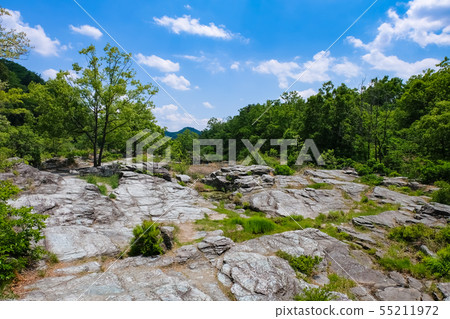 Chichibu Nagatobi tatami mat 55211972