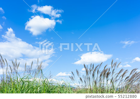Sky cloud blue Sky cloud blue 55212880