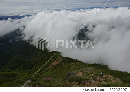 小道跑者 55212907