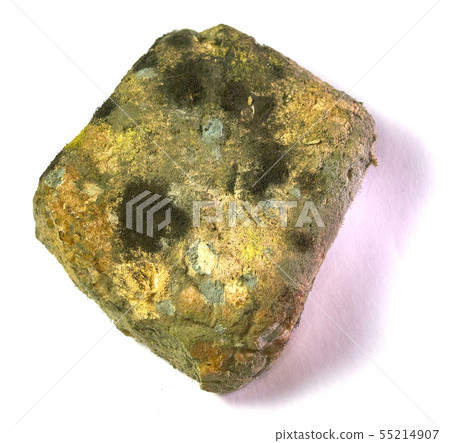 Moldy bread. 55214907