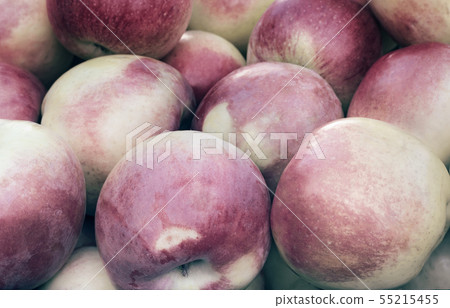 Large ripe red apples are sold at the fair 55215455