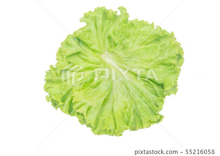 Salad leaf. Lettuce isolated on white background 55216058