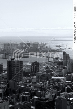 東京灣區域鳥瞰圖與彩虹橋的 55218018