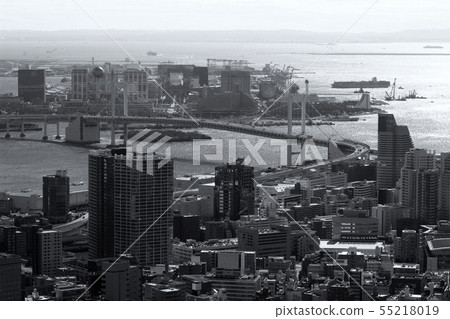 東京灣區域鳥瞰圖與彩虹橋的 55218019