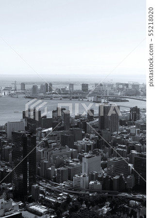 東京灣區域鳥瞰圖與彩虹橋的 55218020