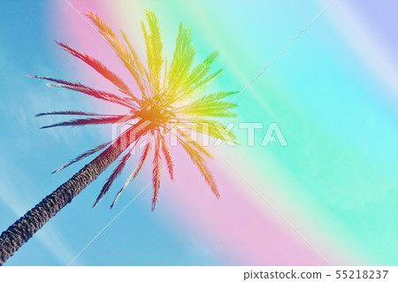 Abstract one palm tree against colorful sky Abstract one palm tree against colorful sky 55218237